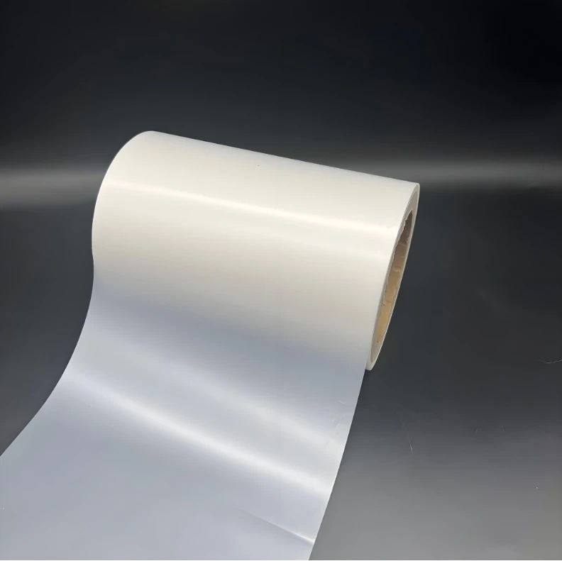 roll-to-roll PVD coating roll-to-roll PVD coating